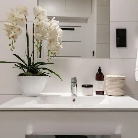 New Place Next To Vistula & Wawel Castle Cracovia