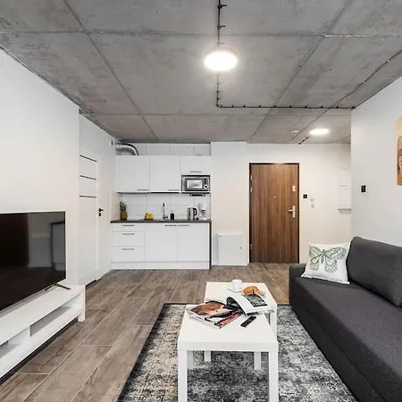 New Place Next To Vistula & Wawel Castle * Krakov